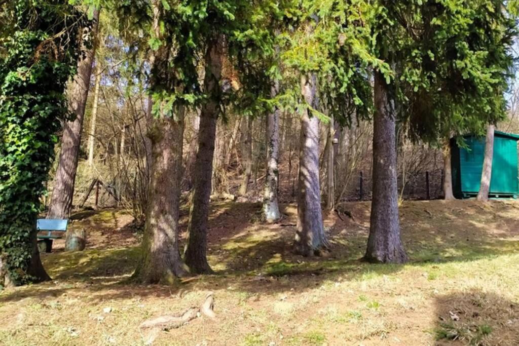Refugium Klosterhaus Nettersheim المظهر الخارجي الصورة